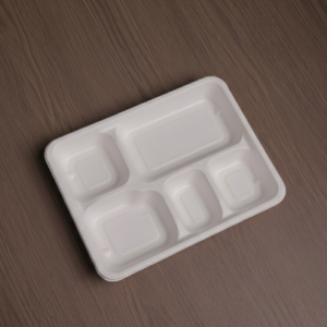Sugarcane Bagasse Plates - Round, square, and compartment plates